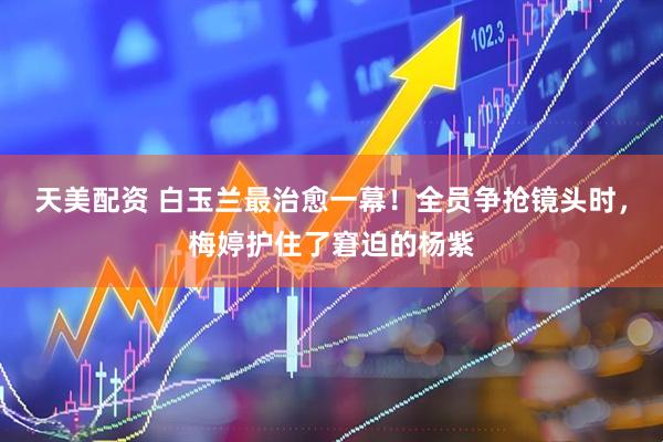天美配资 白玉兰最治愈一幕!全员争抢镜头时,梅婷护住了窘迫的杨紫
