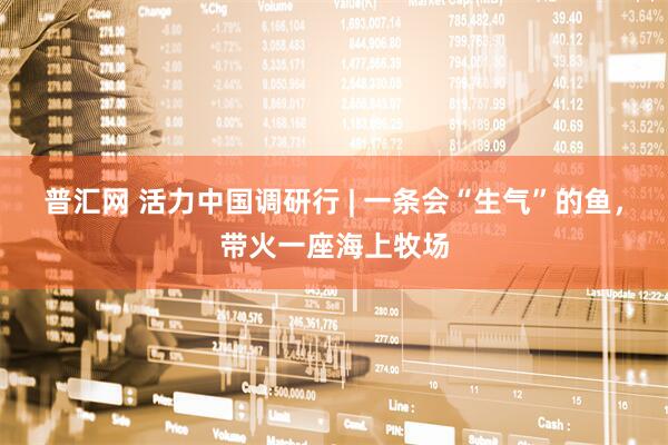 普汇网 活力中国调研行 | 一条会“生气”的鱼,带火一座海上牧场