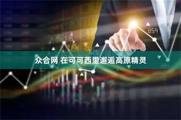 众合网 在可可西里邂逅高原精灵